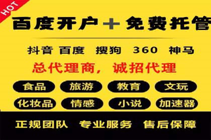 竞价SEM助力电商平台快速提升流量